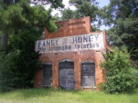 Vanishing South Georgia Gardi Wayne County GA Abandoned Country Store Fancy Honey Altamaha Apiaries Photograph Image Sign Apiculture Copyright Brian Brown