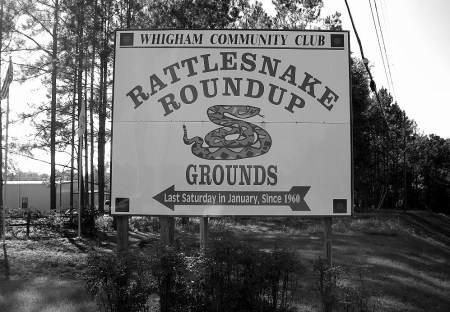 Rattlesnake Roundup Sign, Whigham. Posted in --GRADY COUNTY GA--, 