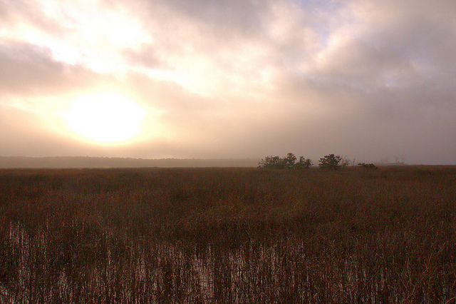 Black Island Creek McIntosh County GA High Tide Sunrise Fog Clouds Photograph Copyright Brian Brown Vanishing Coastal Georgia USA 2015